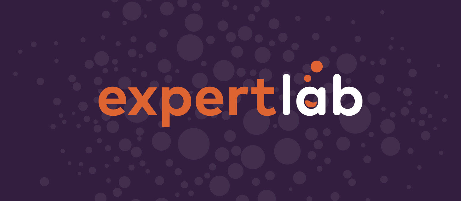 RB_expert lab_logo