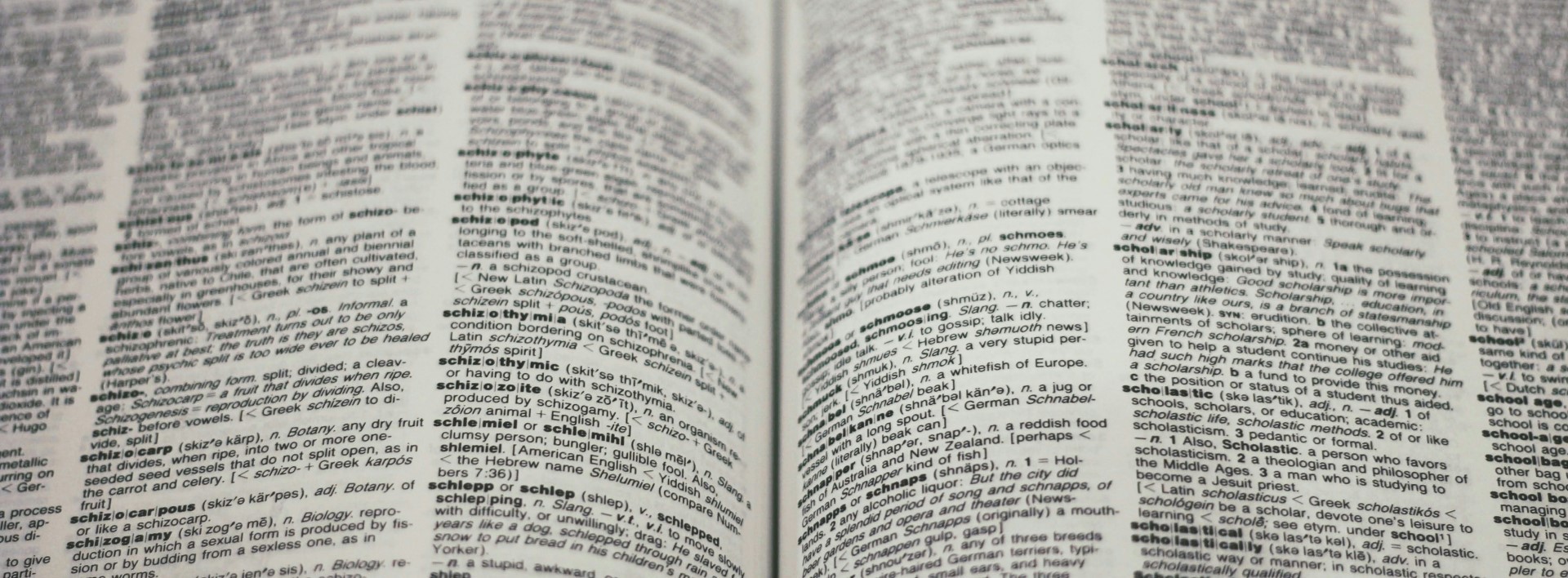 dictionary pages
