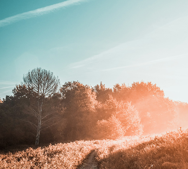 customer understanding 01 b